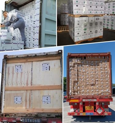 New Upgraded Rat Deterrent Spray – Fast Acting Indoor Rodent Control for Thai Households